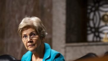 Elizabeth Warren calls for crackdown on Internet “monopoly” you’ve never heard of