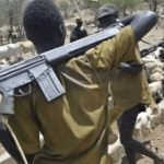 Armed Herdsmen Kill 13 Benue Residents Heading For Church Service In Fresh Coordinated Attacks