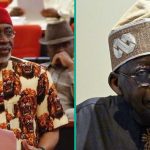 New presidential jet purchase was not approved by national assembly, says Abaribe