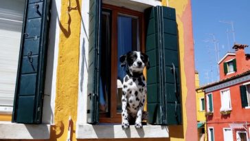 Artists say they leaked OpenAI’s Sora video model in protest