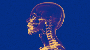 Confessions of an agency founder and chief creative officer on AI’s threat to junior creatives