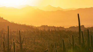 Arizona chip plants could make 2nm chips from 2028, claims TSMC