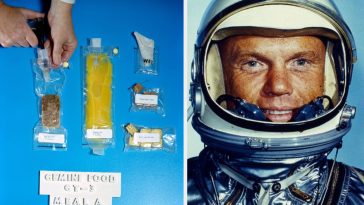 18 Astronaut Meals That Grossed Me Out At The Beginning, But Now I’m Seriously Kind Of Craving