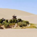 China’s Great Green Wall: 46 years of planting trees around Taklamakan Desert