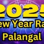 2025 New Year Rasi Palan: Predictions by Aditya Guruji