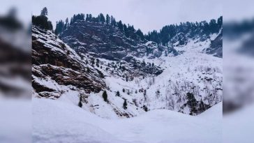 Kashmir experiences fresh spell on snowfall; all tourist hotspots turns into snowland