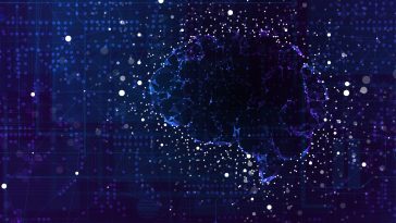 Australia Urges ‘High Risk’ Label for OpenAI, Meta, and Google LLMs