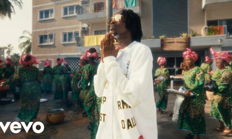 Celebrate Every Win with Fireboy DML’s Uplifting Visuals for “Iseoluwa”