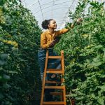 The biggest food tech trends for 2025 and beyond