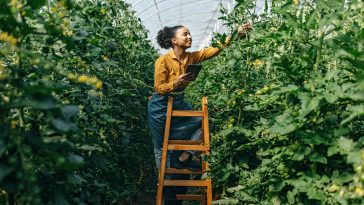 The biggest food tech trends for 2025 and beyond