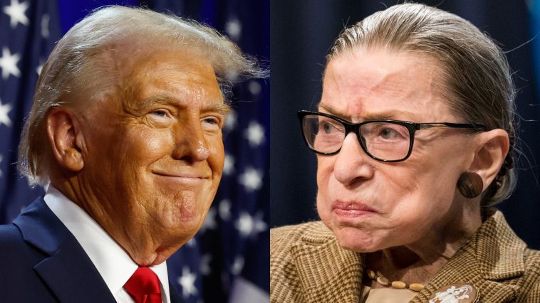 Elon Musk Bankrolled the Pro-Trump Troll Campaign RBG PAC 