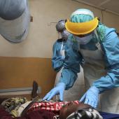 23 Persons Dead From Lassa Fever Outbreak In Ebonyi State