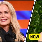 “Transformed Into Someone Else,” Fans Can’t Recognize Nicole Kidman in Her Newest Appearance