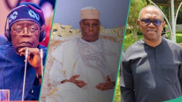 2027 election: APC leader speaks on Atiku, Peter Obi, uniting to sack President Tinubu