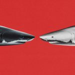 Omnicom’s acquisition of IPG could usher in a new, inevitable M&A wave