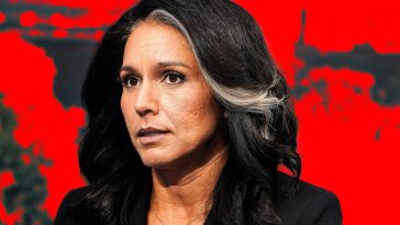 Meet the Conspiracy Filmmaker Who Claims to Have Red-Pilled Tulsi Gabbard