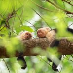 The 33 Best Shows on Apple TV+ Right Now (December 2024)