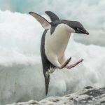Linux 6.12 is the new long term supported kernel