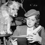 The 10 Most Intriguing Sci-Fi and Horror Scripts on This Year’s Black List