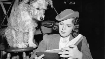 The 10 Most Intriguing Sci-Fi and Horror Scripts on This Year’s Black List