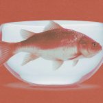 Holding pattern: Omnicom, IPG and the deal that’s leaving marketers on edge