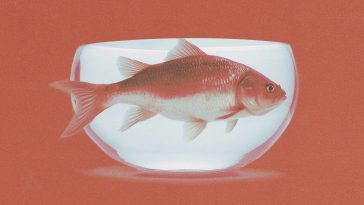 Holding pattern: Omnicom, IPG and the deal that’s leaving marketers on edge