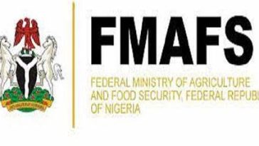 FG empowers 8,000 wheat farmers in Gombe