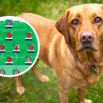 A labrador had the best FPL gameweek 13 in the world