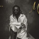 Watch Timaya Enjoy Life to the Fullest in “Mase” Visuals