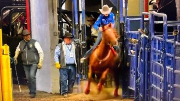 Dona Kay Rule Accident – Pro Barrel Racer Recuperating After Getting Thrown off Horse Valor at NFR 2024