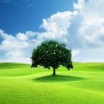 The Oscars: The Pinnacle of Excellence in Global Cinema