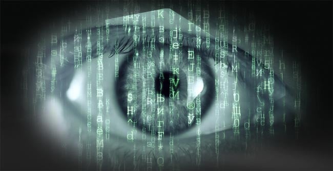 Doing business in US? Don’t wait for state ruling on AI to act, warns former Senate chief of staff