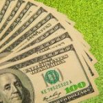 Social Security Disability Insurance 2024: Your Check Is on the Way