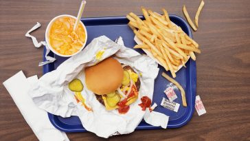 Frequent fast food linked to higher depression, anxiety risk in young adults: HK study