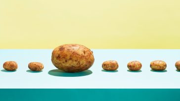 Indonesia updates genetically modified food regulations to clarify sale requirements