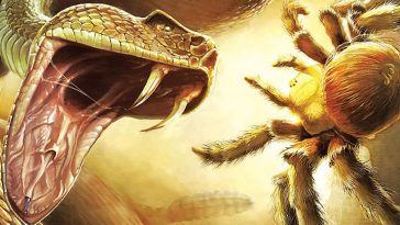 Nordic Games’ plans for THQ titles in early stages, Deadly Creatures high on the list