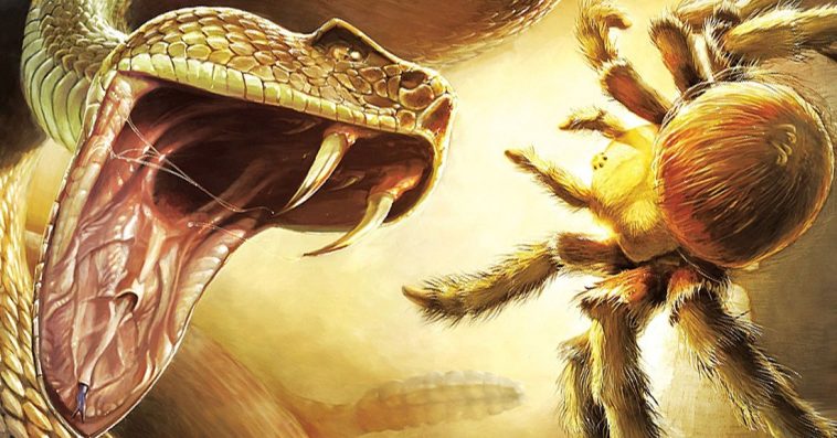 Nordic Games’ plans for THQ titles in early stages, Deadly Creatures high on the list