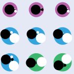 A bestiary of exotic hadrons: the 23 exotic hadrons discovered at the LHC so far