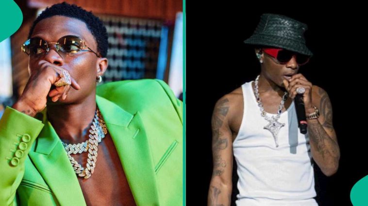 Wizkid offers N5 million for his phone stolen during performance at Lagos concert