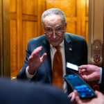 US Government Shutdown Barely Averted, After Trump and Musk Halted Bipartisan Negotiations