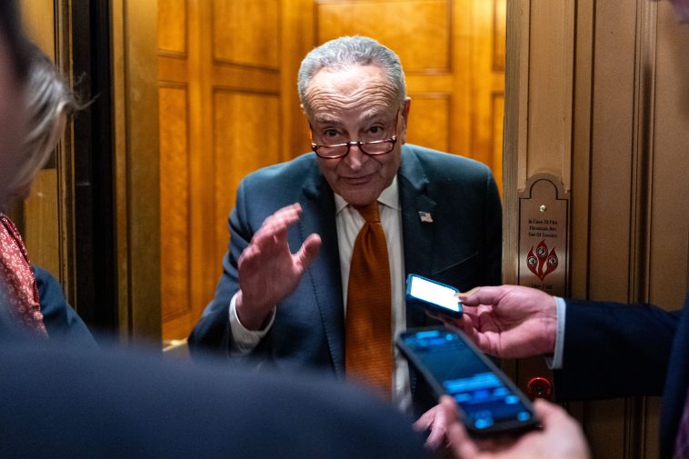 US Government Shutdown Barely Averted, After Trump and Musk Halted Bipartisan Negotiations