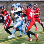 A beautiful year 2024 for the Montreal sports teams