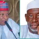 Northern governor mourns as colleague loses mother, son in two days