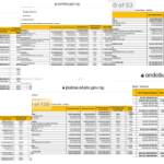 Nigerian States Fall Short of 2024 Budget Targets Amid 2025 Budget Presentations By Governors