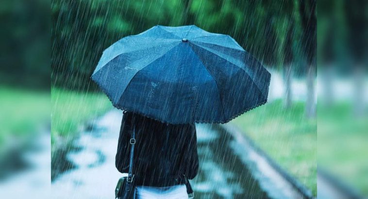 From Delhi showers to Himachal snow: Winter’s chill sweeps North India