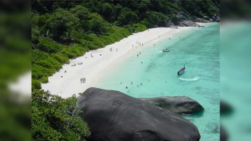 Tourist stumbles upon ‘sea of poop’ at Thailand’s Full Moon Party Beach, shocking video surfaces