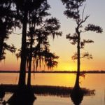 Best Internet Providers in Winter Haven, Florida