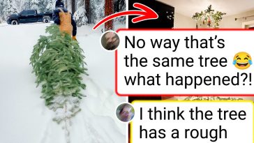 Woman Shares How She Found the ‘Perfect’ Christmas Tree—Only to Discover It Wasn’t