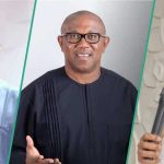 2027 election: Real truth revealed about fresh ‘alliance’ between Peter Obi, Atiku, Kwankwaso