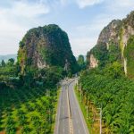 Can sustainable palm oil be certified at state or even national level?